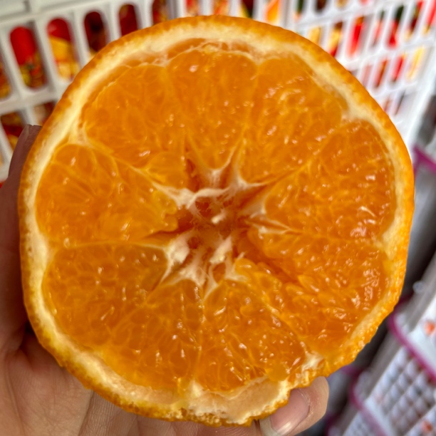 四川春见耙耙柑（8斤装）