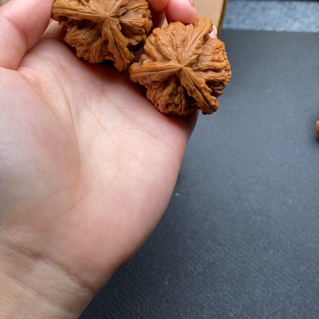 卡*白狮子1111111111