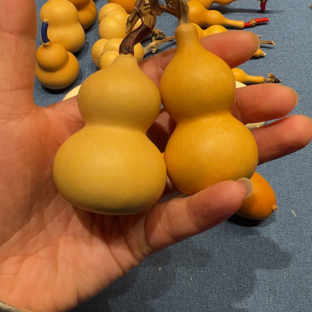 木岙***?葫芦等经济林木的生长