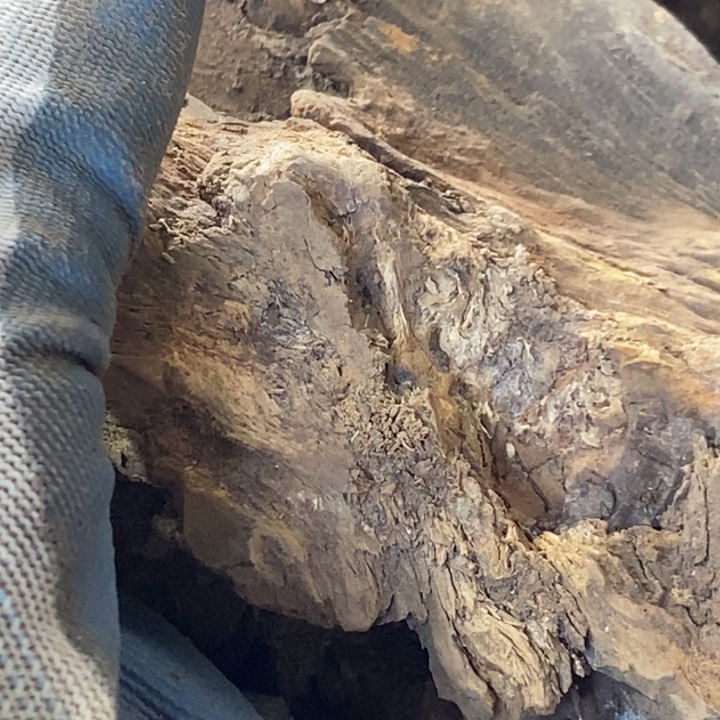 清***在贡木把件定制不退不换