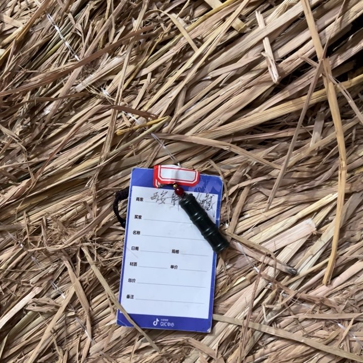 颈饰未镶嵌和田玉超*