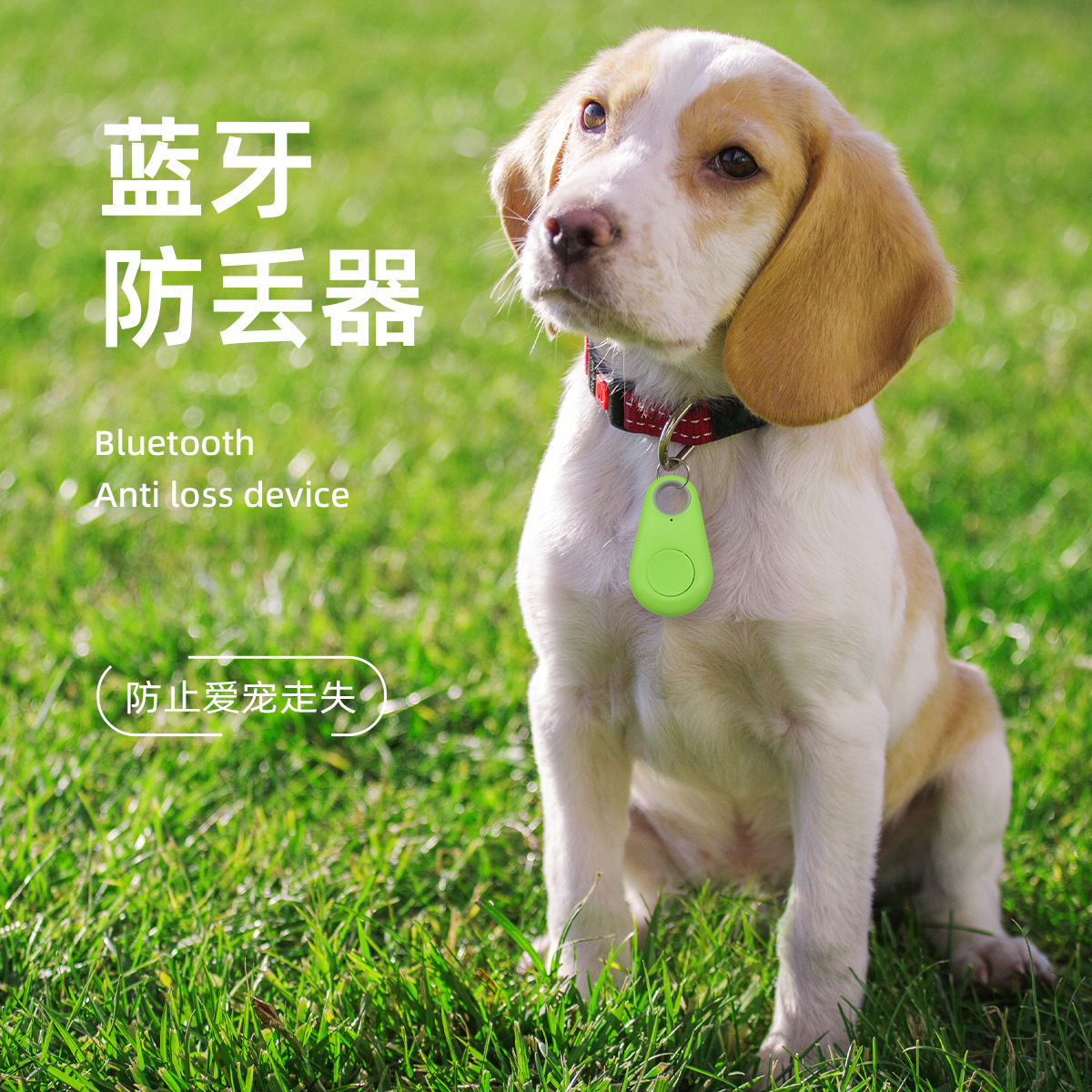通用狗狗定位追踪器防拆双向防丢蓝牙猫咪定位器无卡宠物智能穿戴
