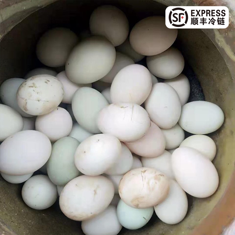 （顺丰包邮）江西玉山散养（水鸭蛋）