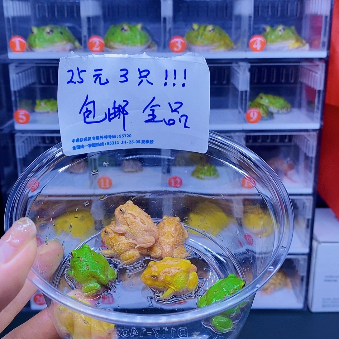 角蛙中了福袋减10元。 