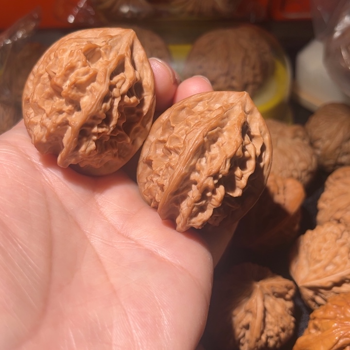 龙脊菩提吊坠龙骨