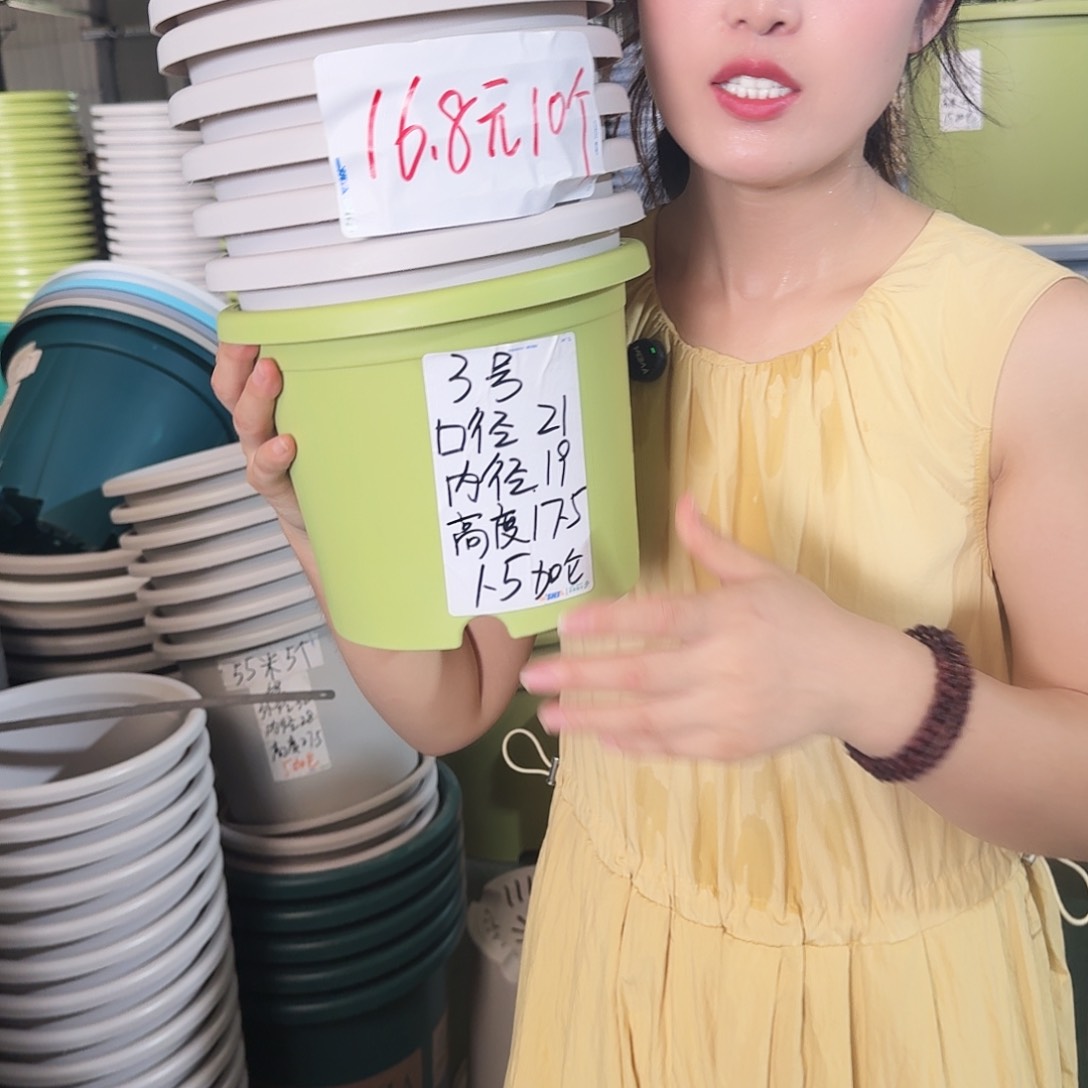 微瑕3#无拖果绿10个