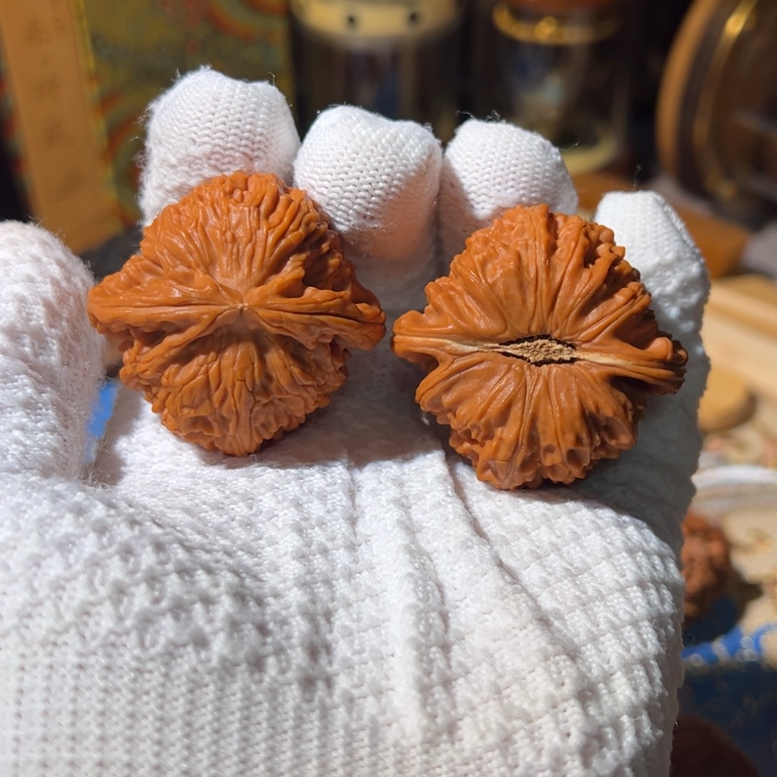 文玩核桃把件全品卡姿兰白狮子43