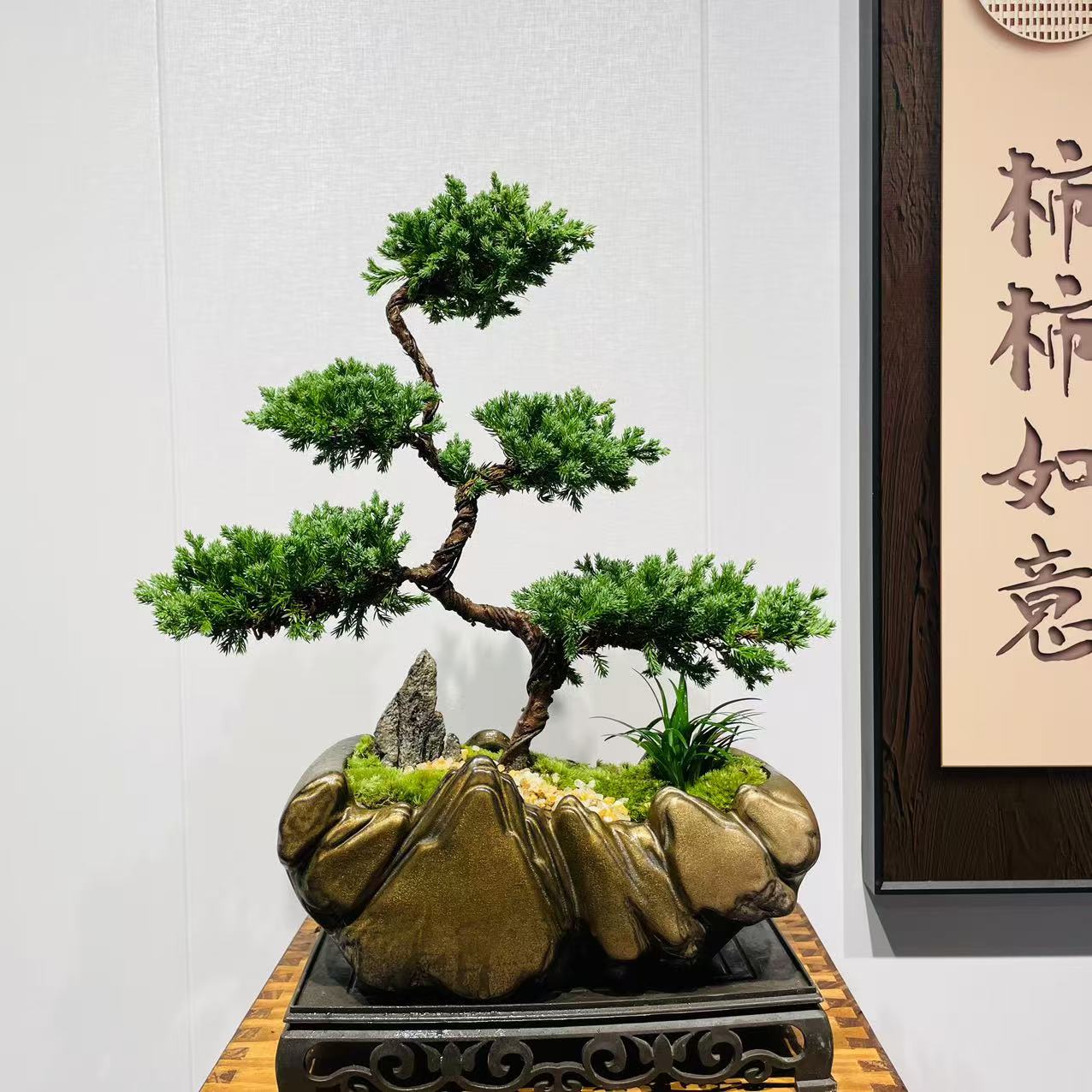 五层真柏盆栽迎客松造型高端盆景客厅书房办公室桌面好养高档绿植