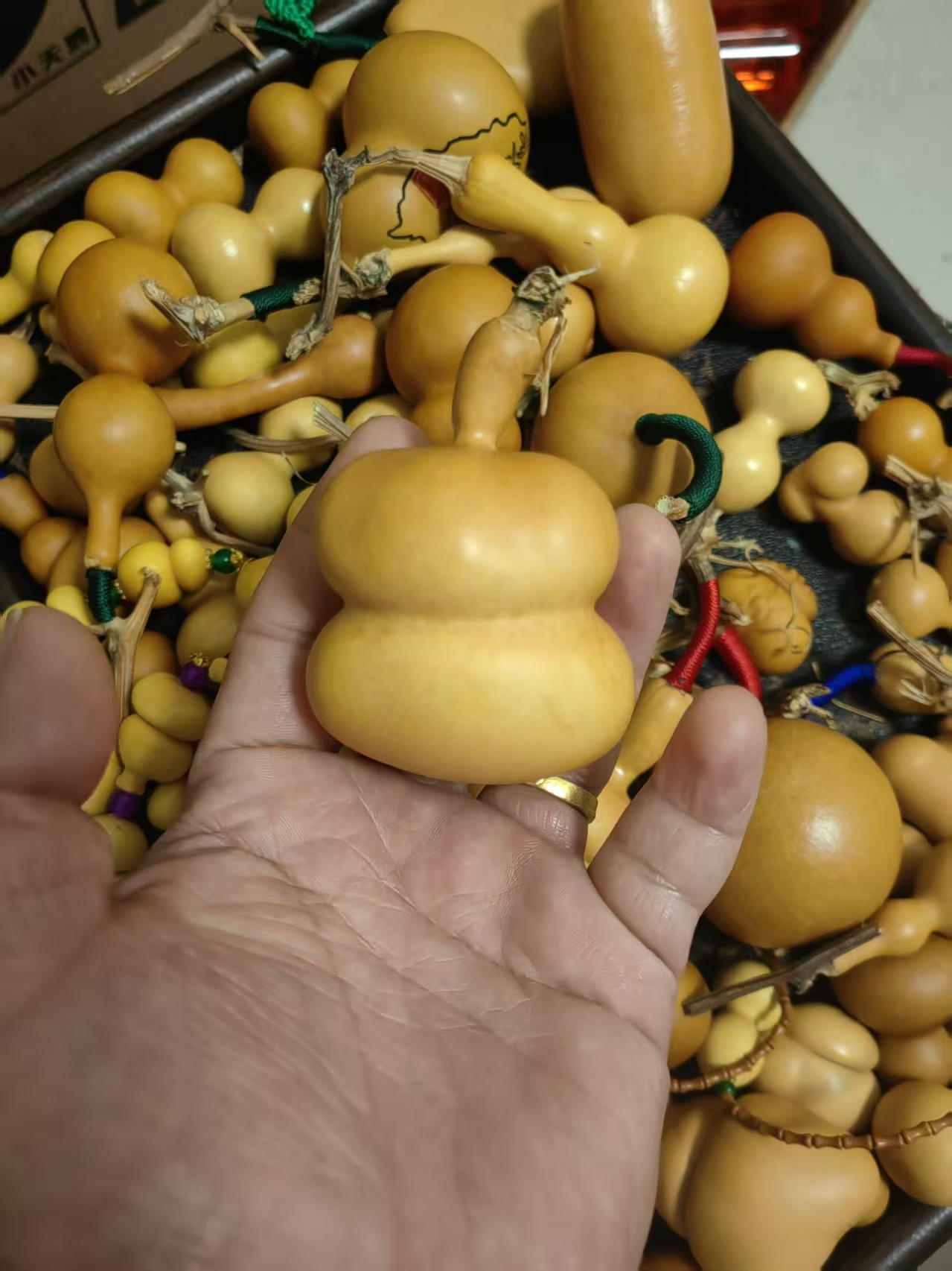 天然葫芦直播专属链接一物一拍（龙头不保）