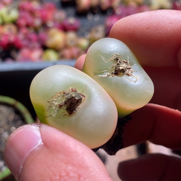 22255一个一个一个