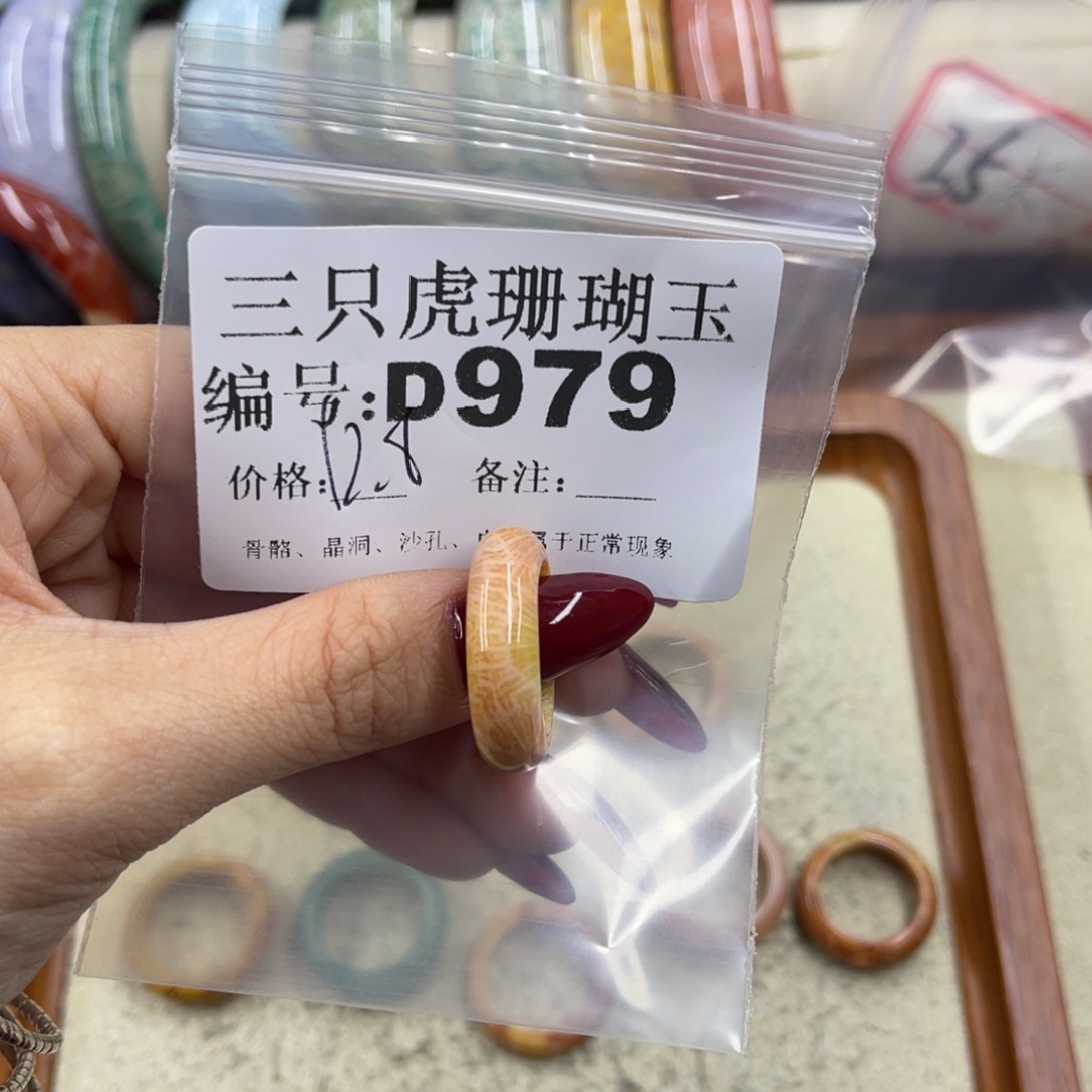 *****硅化珊瑚（珊瑚玉）未镶嵌h