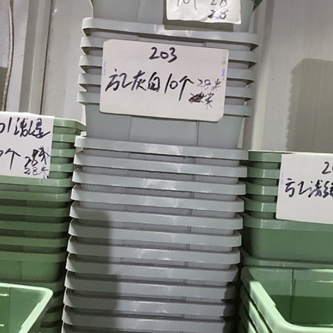 树脂编号编号203