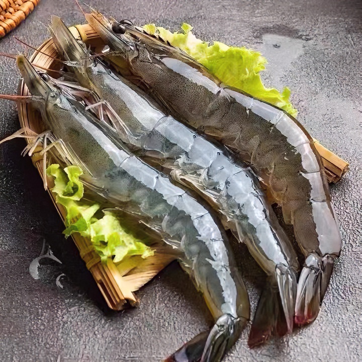  连云港发货 单只活冻海水大虾20/30规格一盒 低温锁鲜