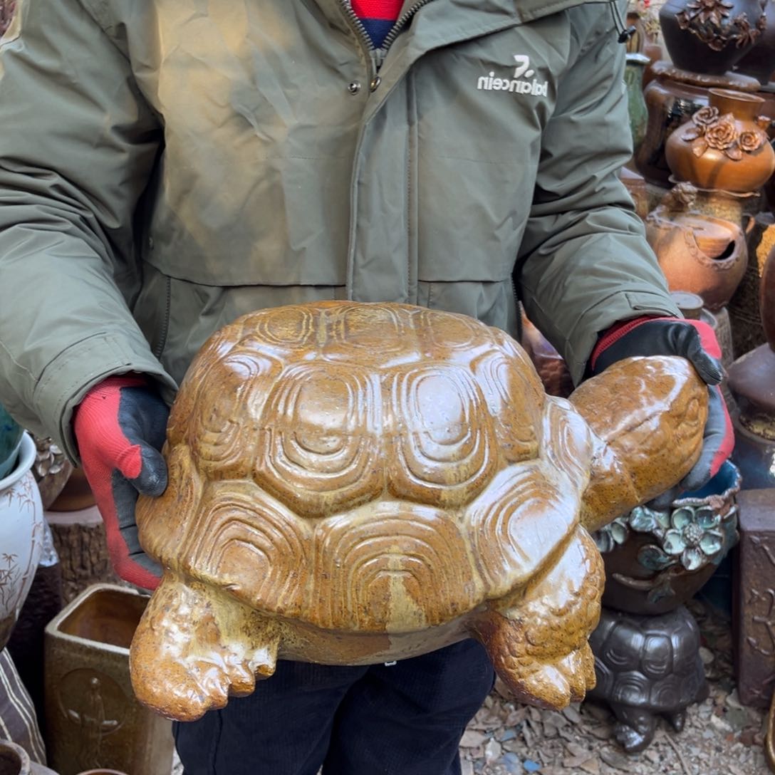 红陶高21宽42正品