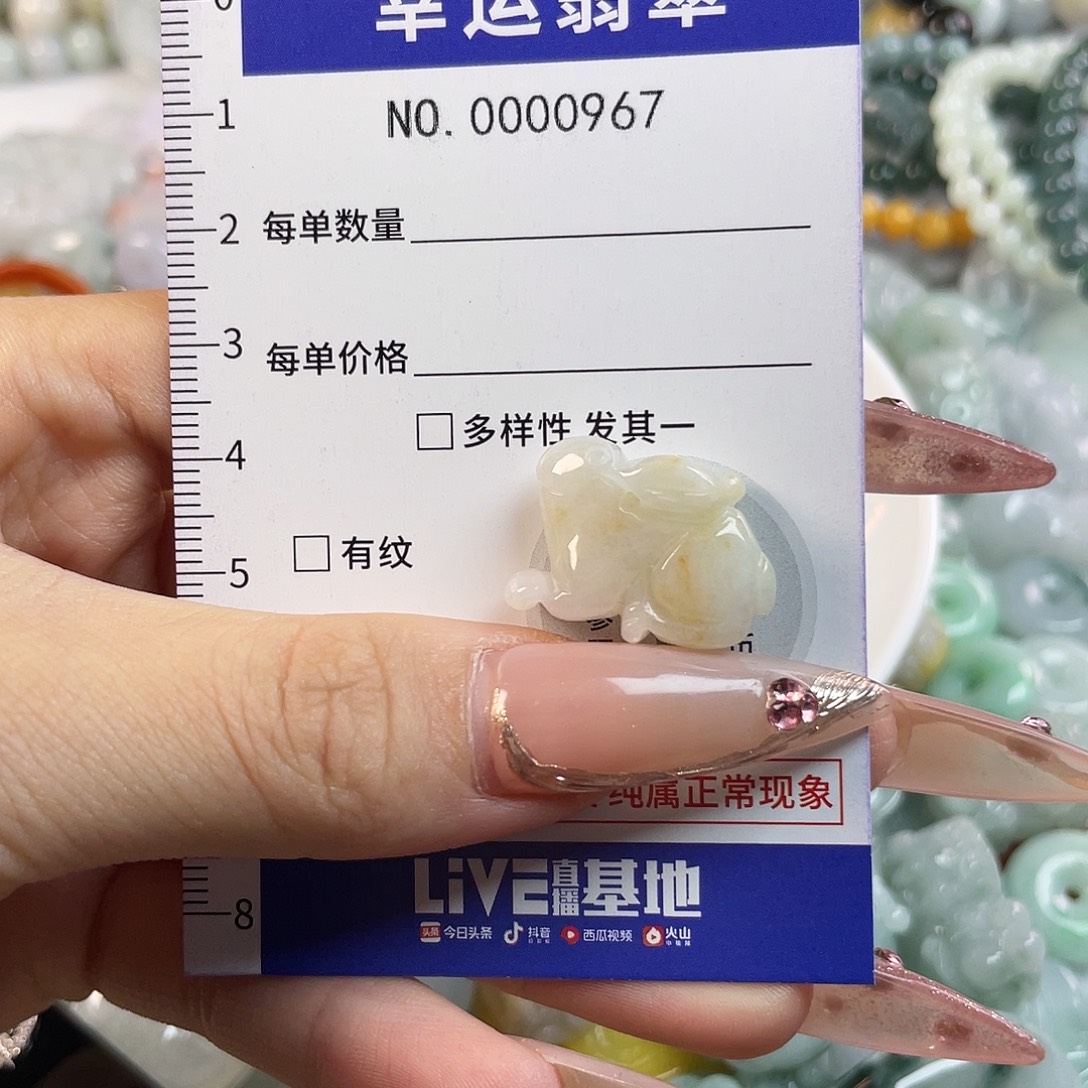 翡翠未镶嵌颈饰hhh