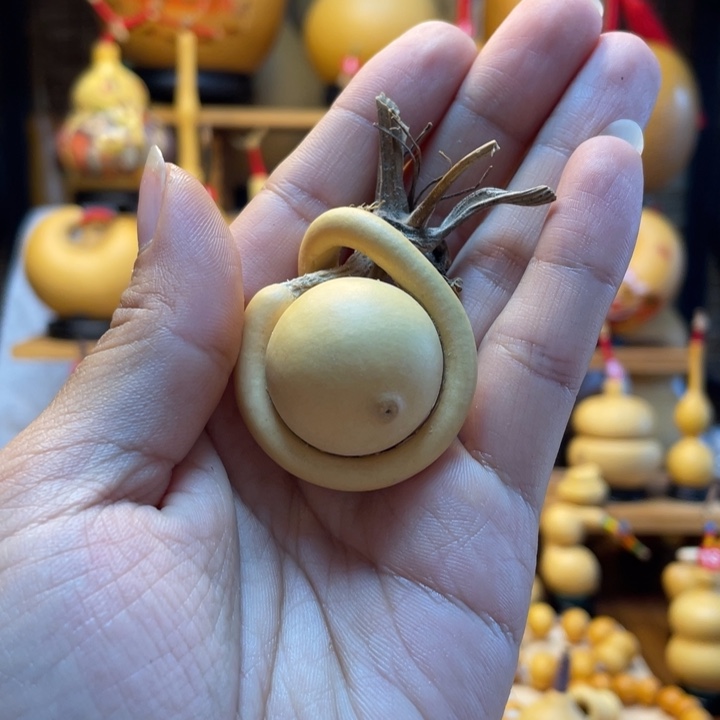 *****天然葫芦自然生长