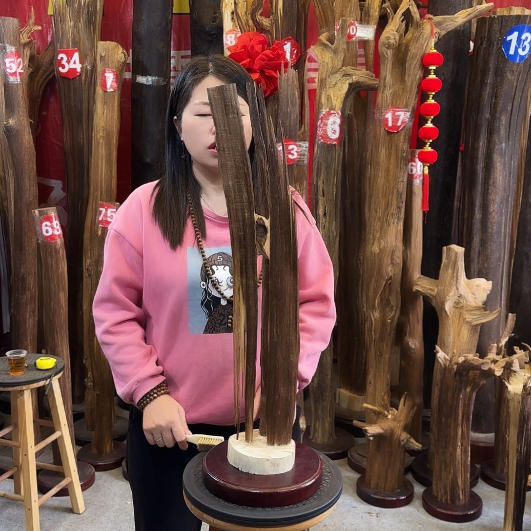 沉香摆件海南沉香