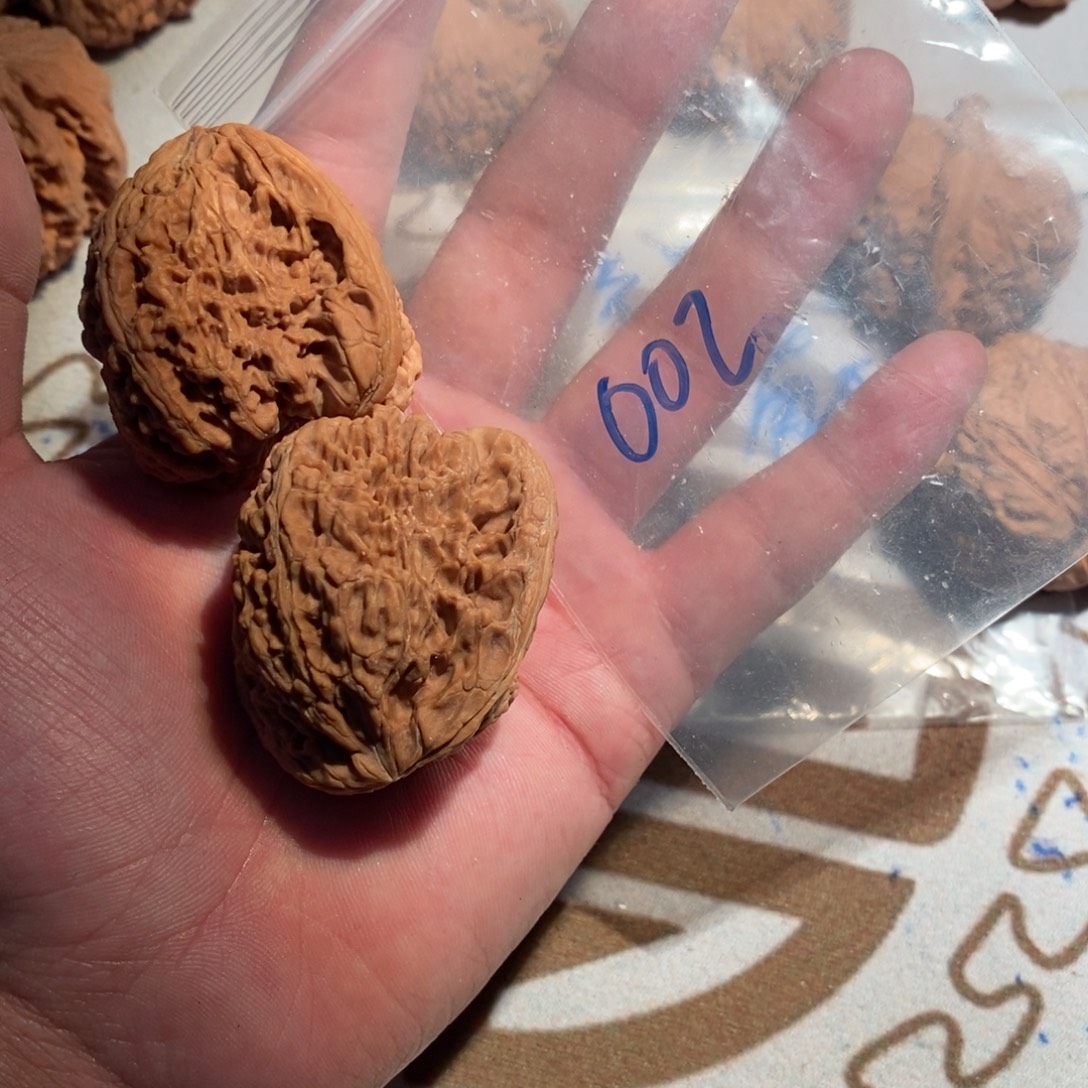 手串/手链核桃002