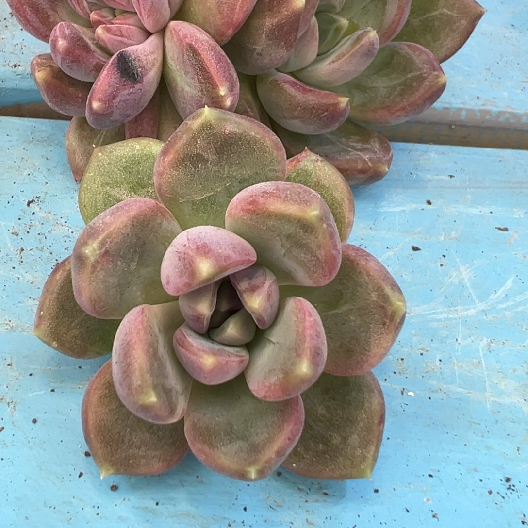 1111111111111111111111