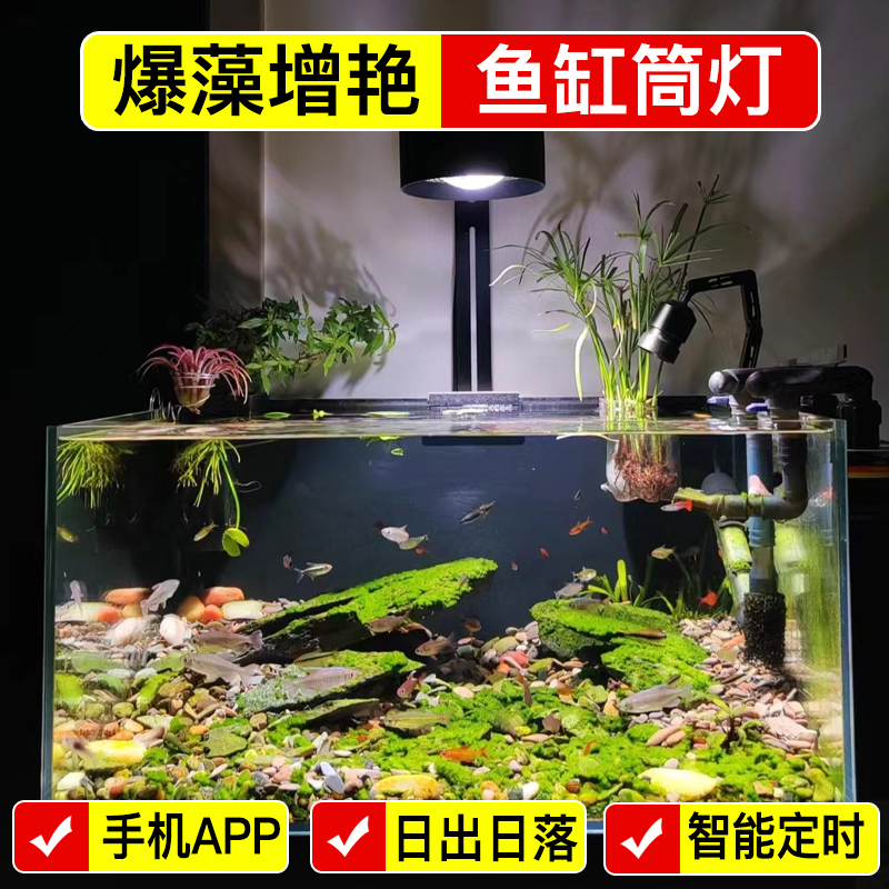 创乐季70W手机APP全光谱鱼缸灯原生溪流缸专用兰寿泰狮爆藻增艳灯
