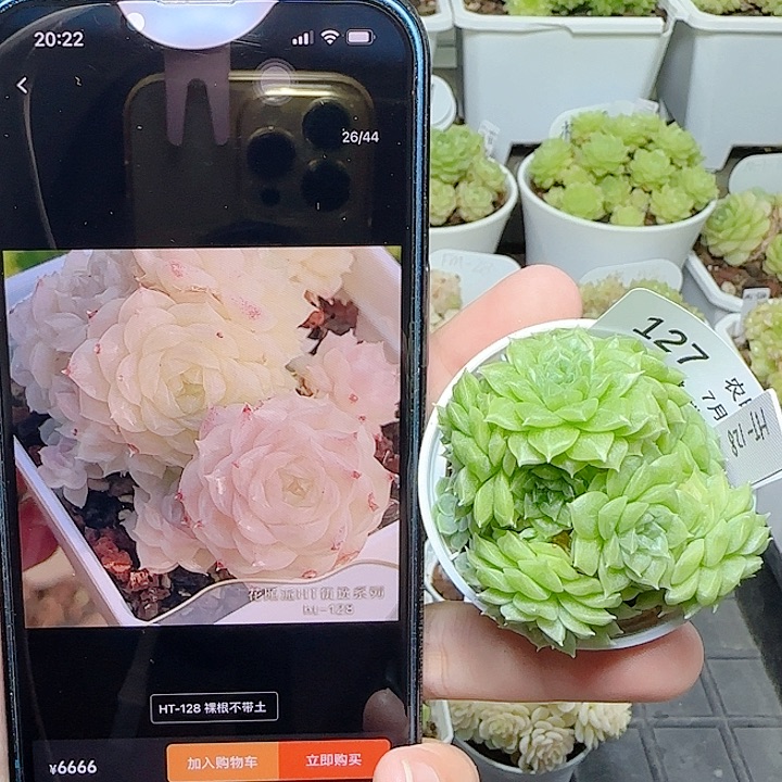 【闪购商品】0702-127（ht-128）