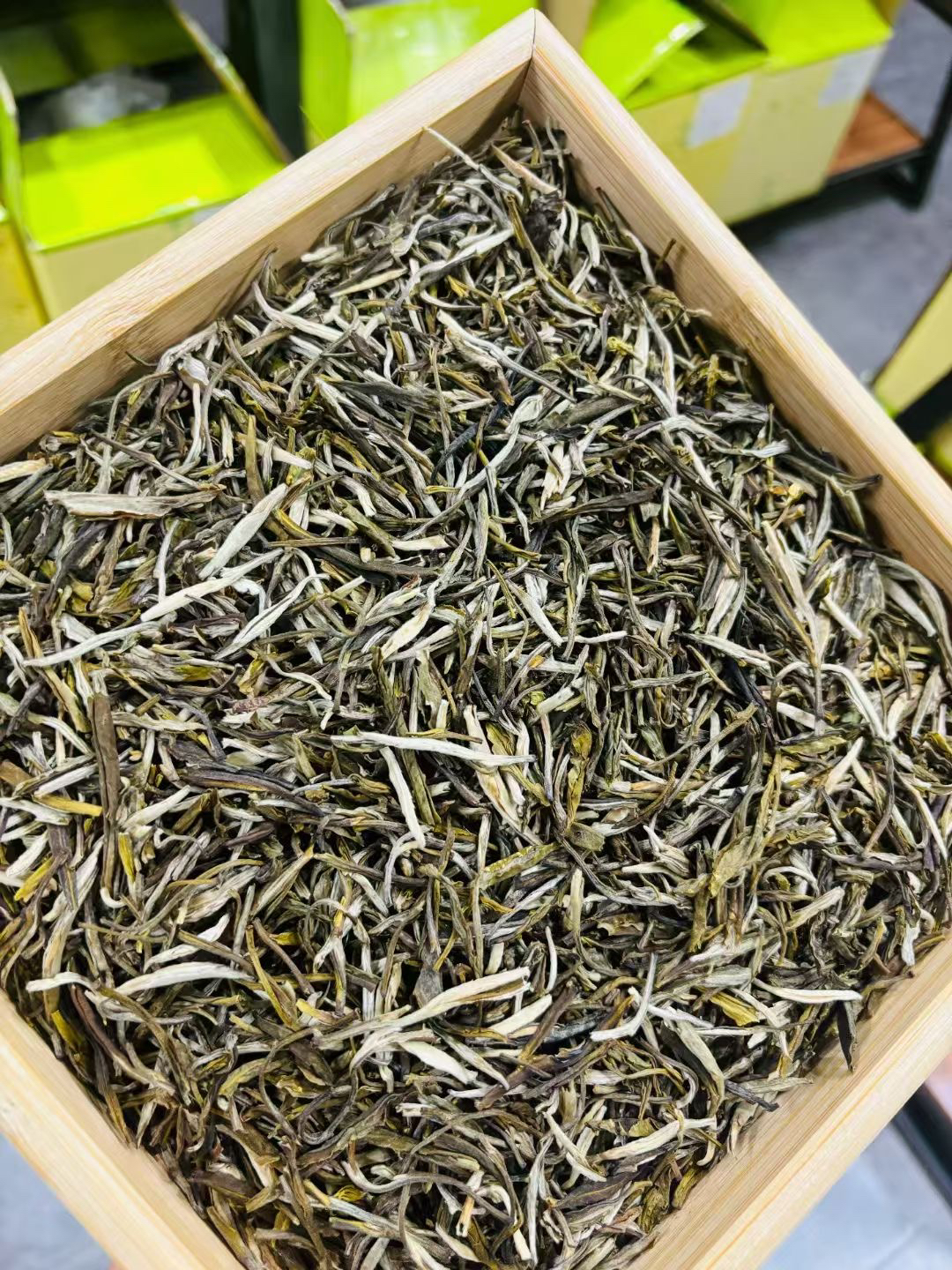 新茶茉莉茶王六窨一提浓香耐泡口感醇（特双龙针王）