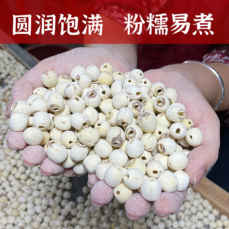 【小茵姑娘】湘潭去芯磨皮白莲子500g一级正宗湘莲干货特产煲汤煮粥 图片 2