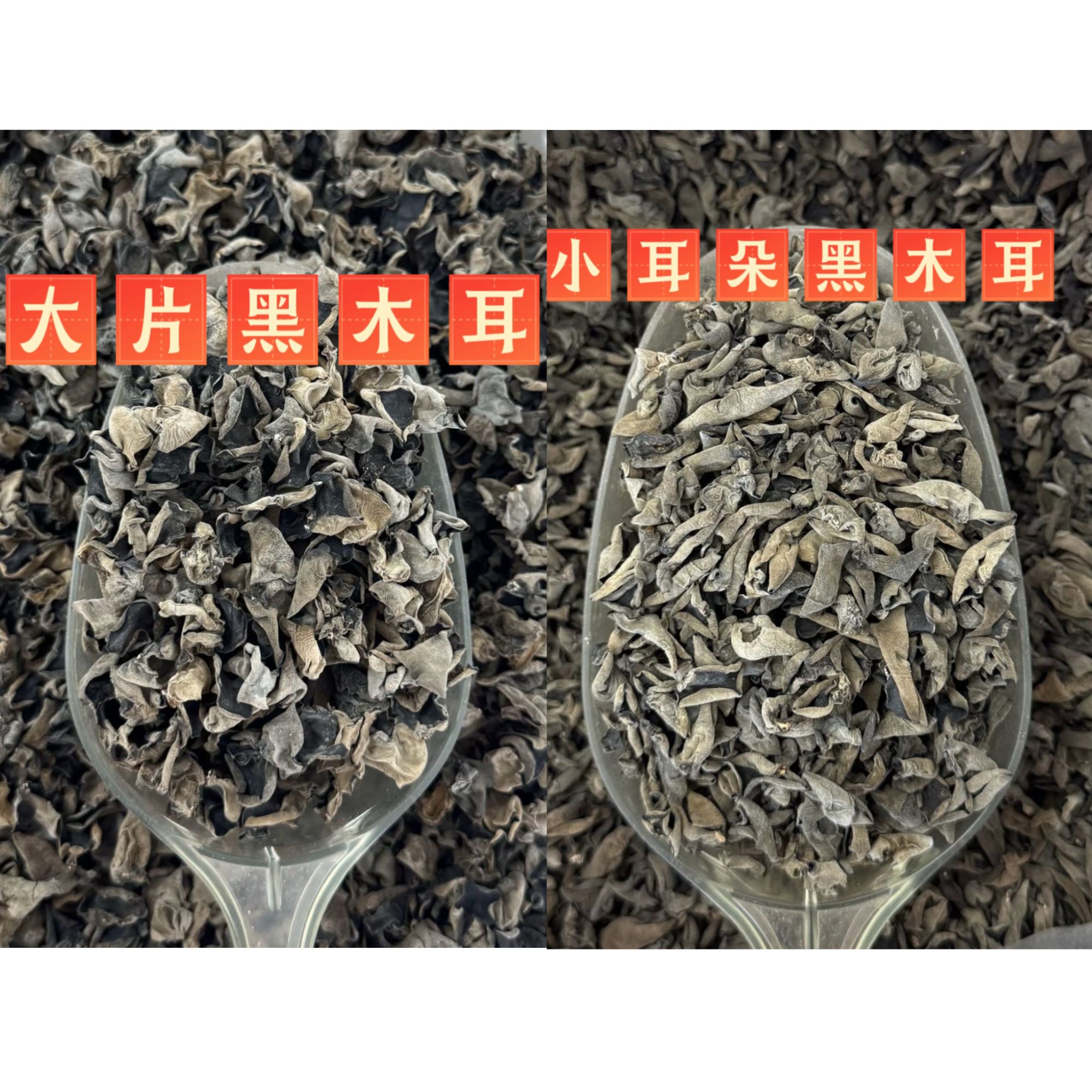 大片东北黑木耳干货/小耳朵黑木耳