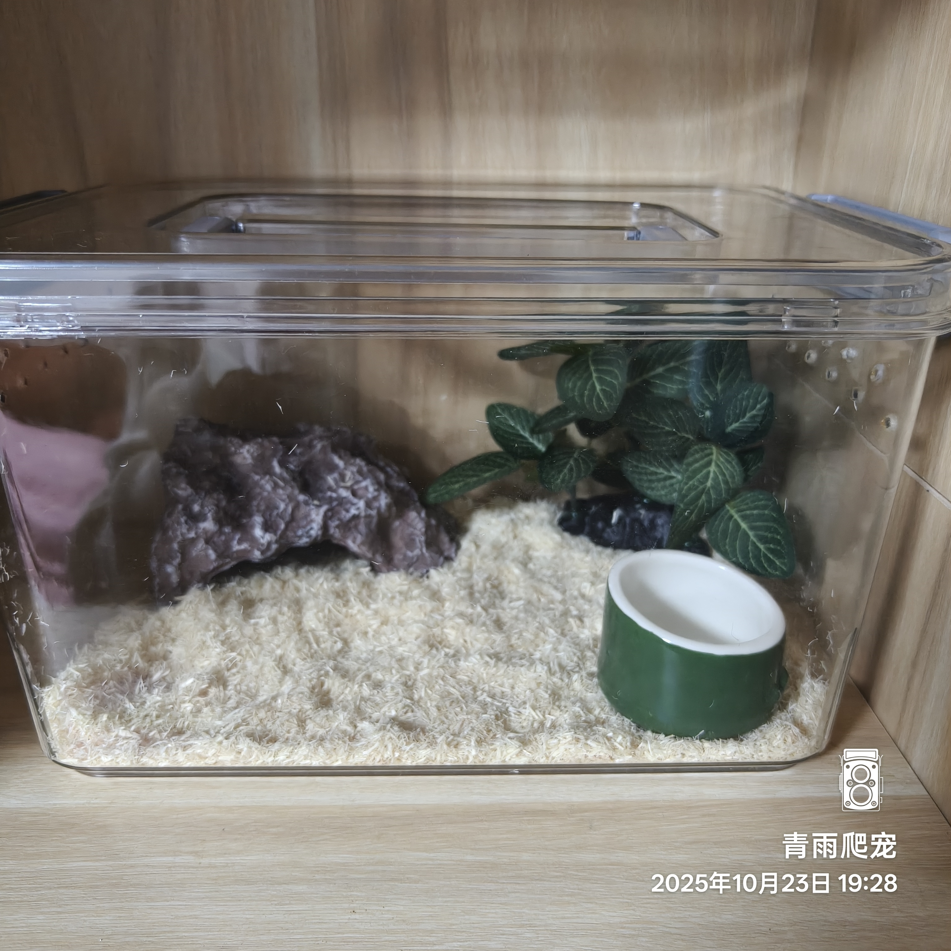 爬宠饲养盒套餐家用透明生态防尘桌面高清高透耐用