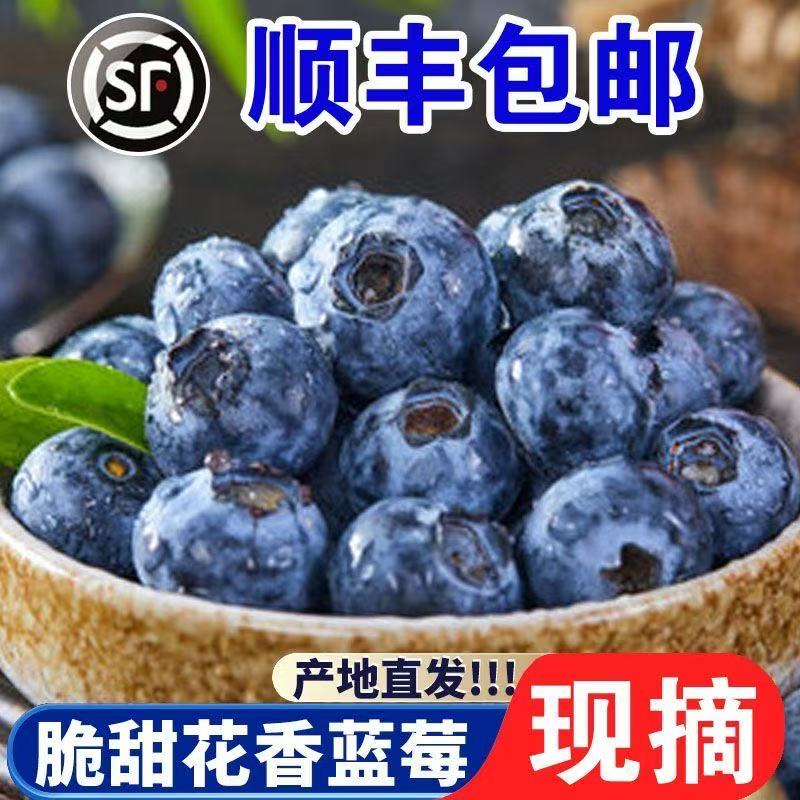 ZG【顺丰包邮】新鲜花香蓝莓现摘现发拍现摘大果拍6盒送6盒到手12盒