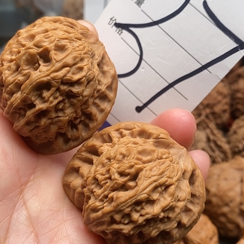 桃核吊坠这*马核桃的营养