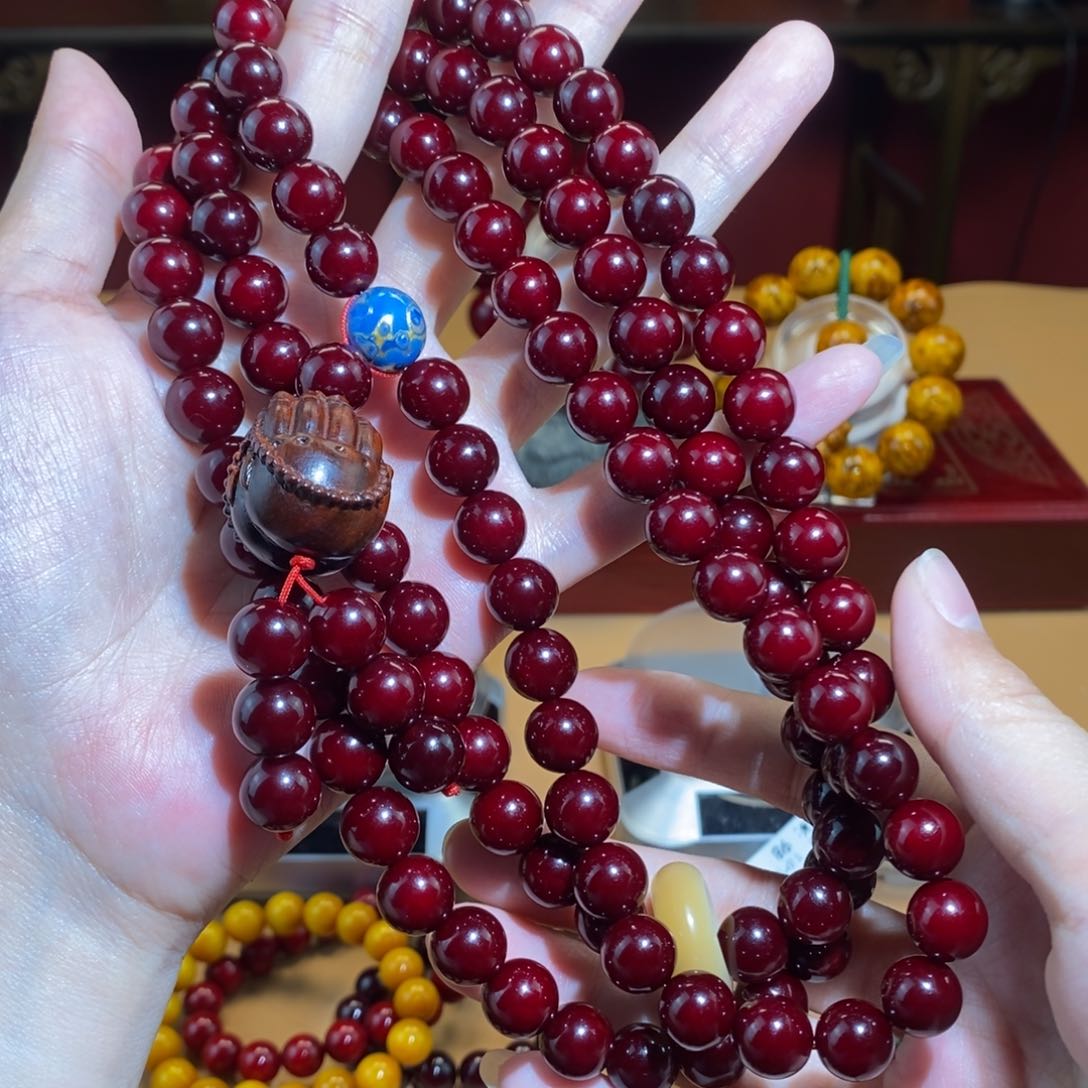 贝壳杉1.0/108帝王血龙木千年高货