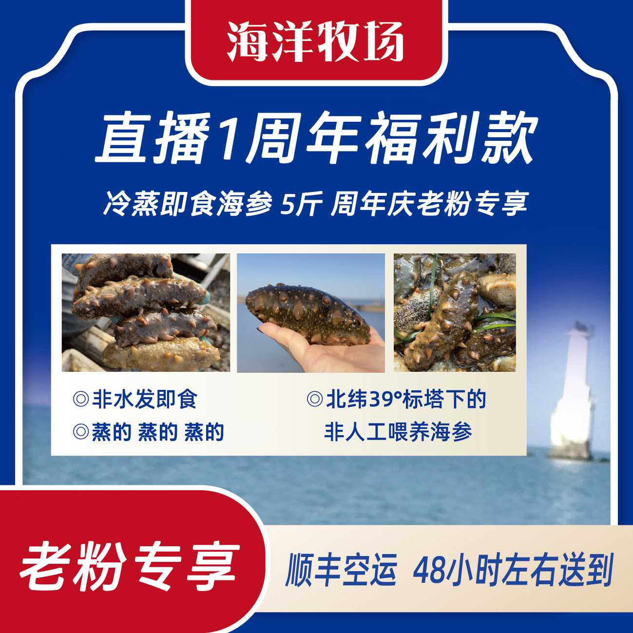 【周年庆】大连冷蒸即食海参 5斤 每斤5-7头 周年庆老粉回购款