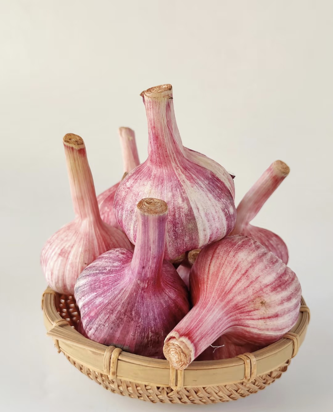 2025大蒜中果九分干