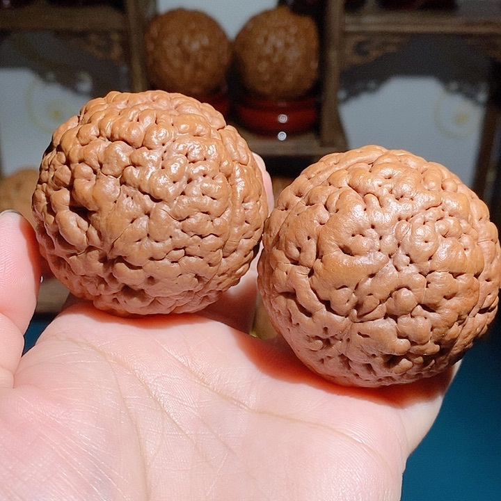 野生三瓣脑纹大金刚850