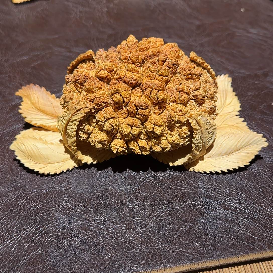 柏木（崖柏）太行集团