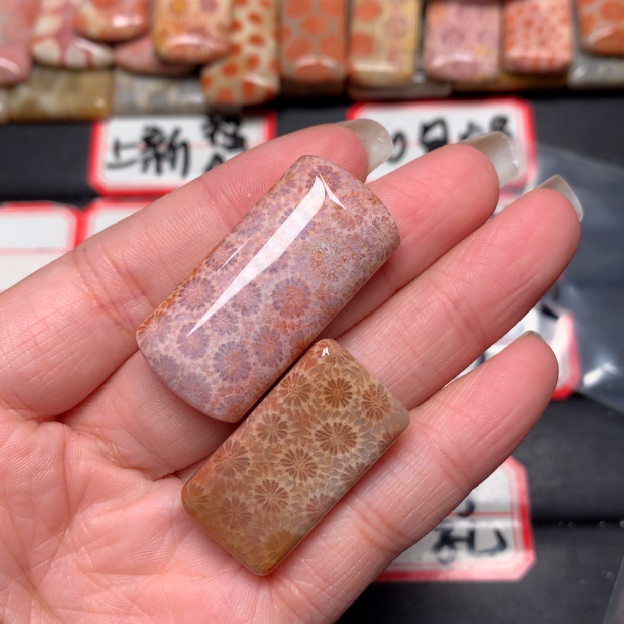 【闪购商品】未镶嵌颈饰硅化玉高****1