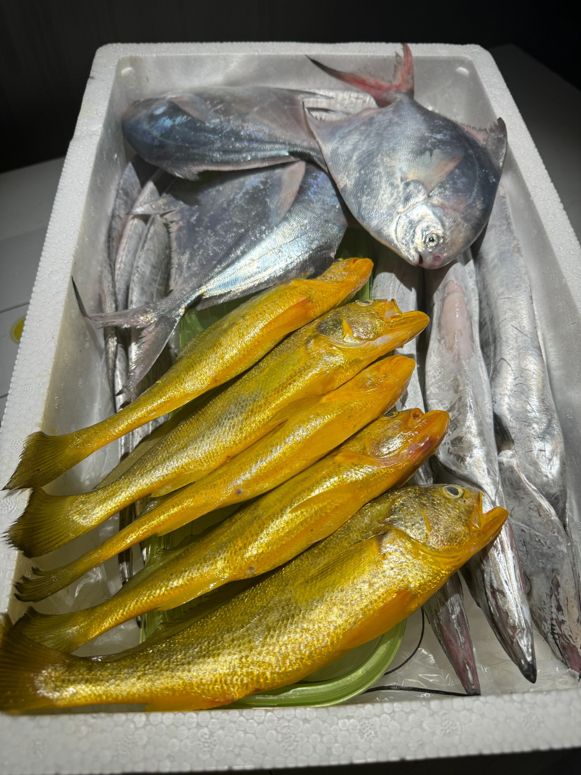 [俞乐鲜]直播间现秤现拍①