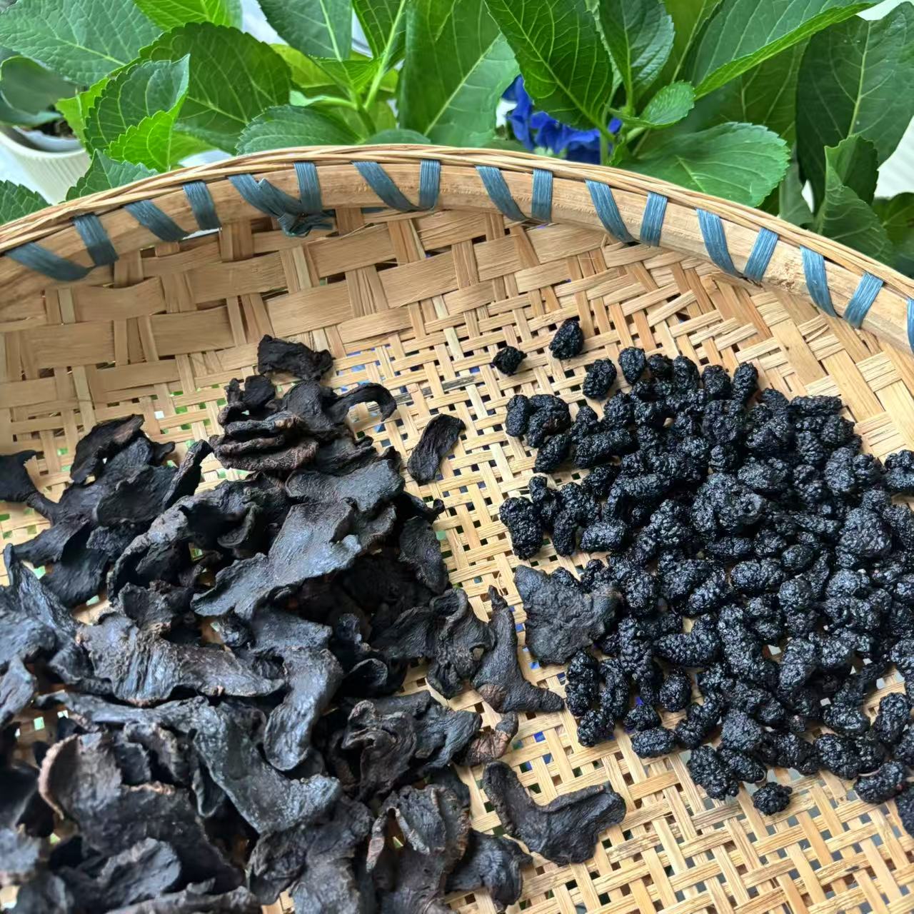 黄精桑葚茶新化黄精四川桑葚组合茶桑葚干男性女性茶