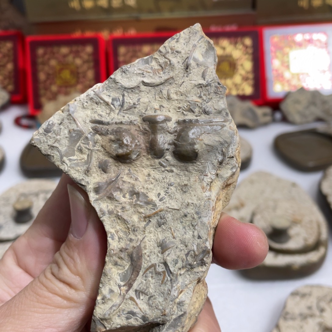 五***6有机玻璃燕子石原石123