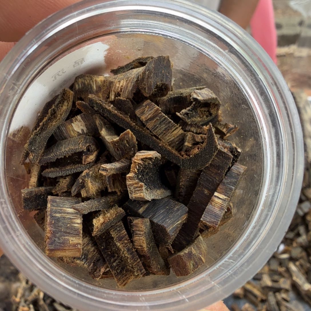 沉香碎屑沉香20克沉水碎料多样性发一