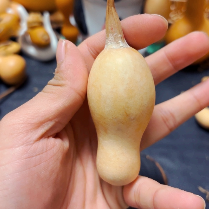 微*8888888888888888889