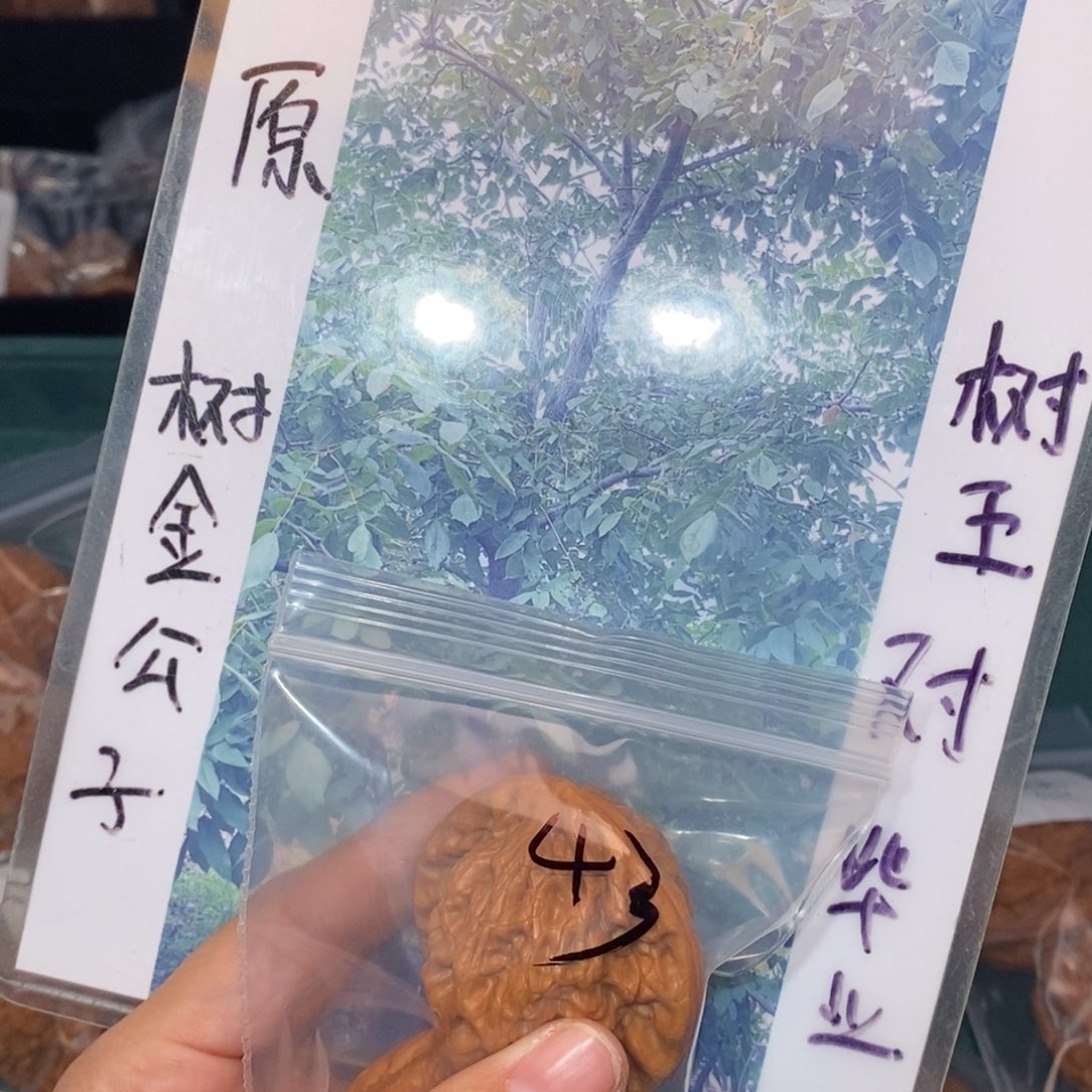 文玩核桃吊坠43金公子