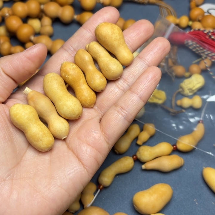 ****宝虫虫葫芦，特价葫芦