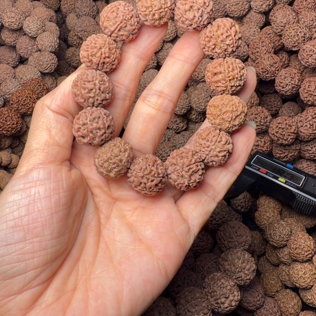 金刚菩提手串8瓣卡18尺，37号