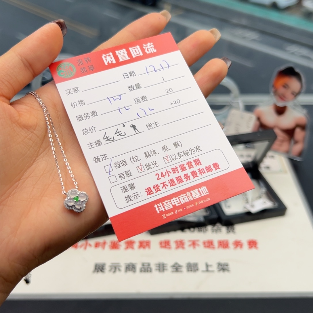 颈饰银S925镶嵌翡翠图*呢