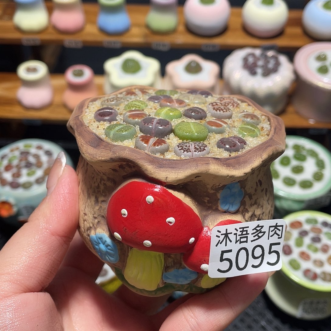 带盆土植物 一物一拍5095