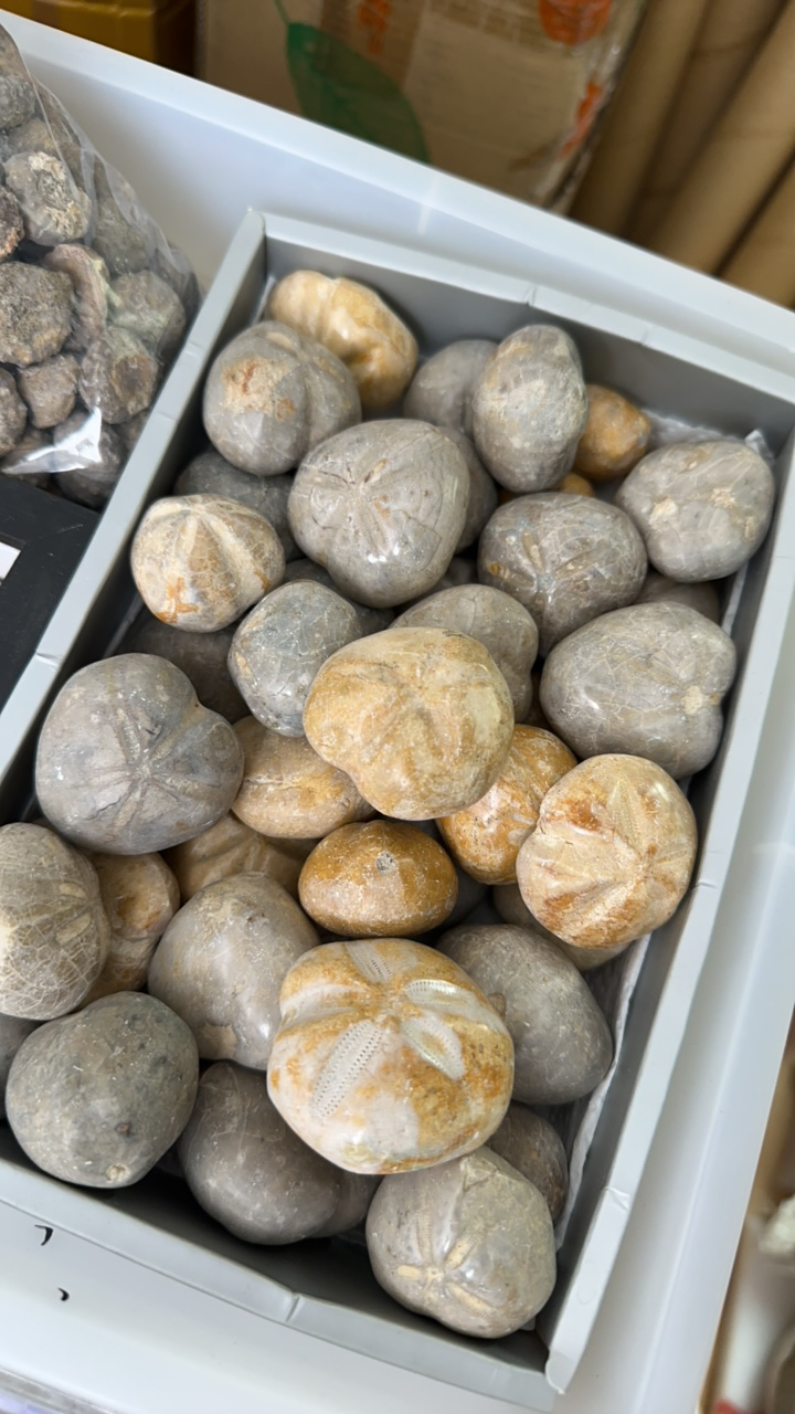 550430330|精美摆件创意礼物家居配饰新年礼物个人收藏