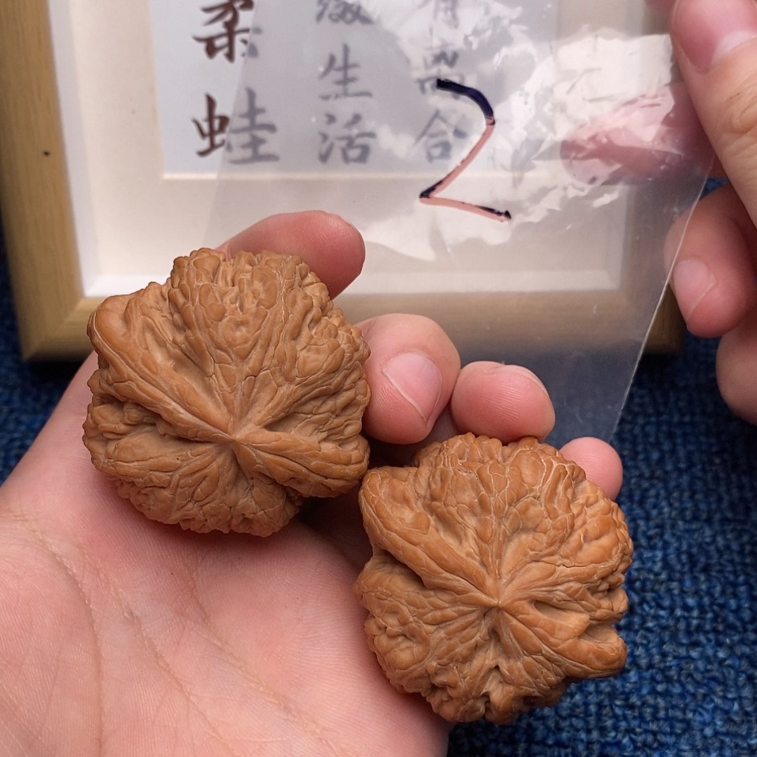 文玩核桃把件大粗筋48尺全品，