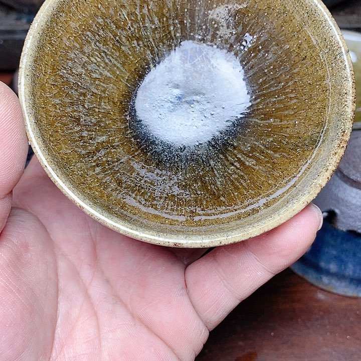 茶盏凯***事008f g h jv c g h j k